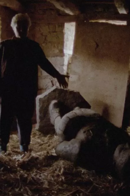 Generations of Images Generations of Images